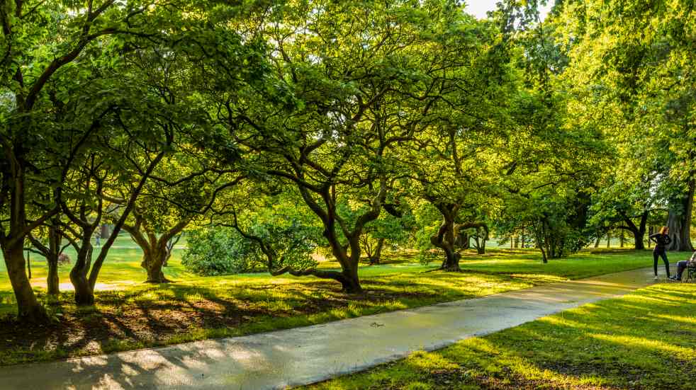 bute park cardiff